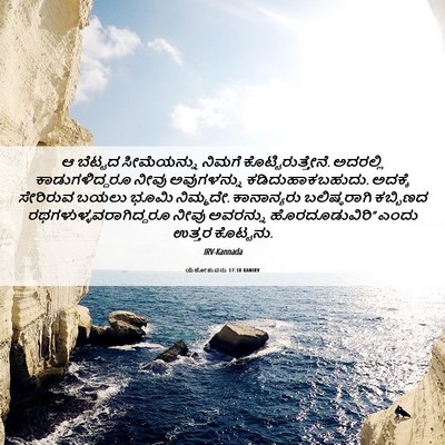 Picture 06 - ಯೆಹೋಶುವನು 17:18 KANIRV - ಆ ಬೆಟ್ಟದ - Bible Verse Picture
