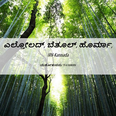 Picture 06 - ಯೆಹೋಶುವನು 19:4 KANIRV - ಎಲ್ತೋಲದ್, ಬೆತೂಲ್, - Bible Verse Picture