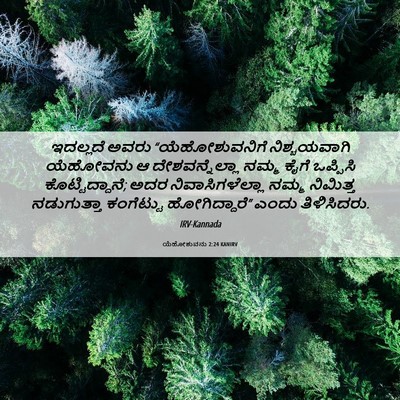 Picture 06 - ಯೆಹೋಶುವನು 2:24 KANIRV - ಇದಲ್ಲದೆ ಅವರು - Bible Verse Picture