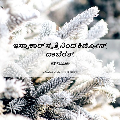 Picture 06 - ಯೆಹೋಶುವನು 21:28 KANIRV - ಇಸ್ಸಾಕಾರ್ - Bible Verse Picture