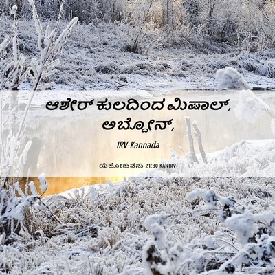 Picture 06 - ಯೆಹೋಶುವನು 21:30 KANIRV - ಆಶೇರ್ ಕುಲದಿಂದ - Bible Verse Picture