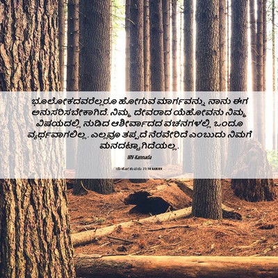 Picture 06 - ಯೆಹೋಶುವನು 23:14 KANIRV - ಭೂಲೋಕದವರೆಲ್ಲರೂ - Bible Verse Picture