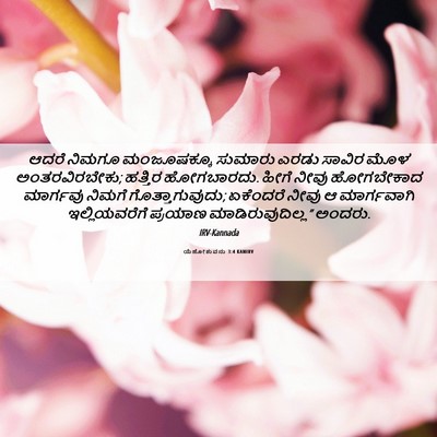 Picture 06 - ಯೆಹೋಶುವನು 3:4 KANIRV - ಆದರೆ ನಿಮಗೂ - Bible Verse Picture