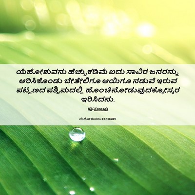 Picture 06 - ಯೆಹೋಶುವನು 8:12 KANIRV - ಯೆಹೋಶುವನು - Bible Verse Picture