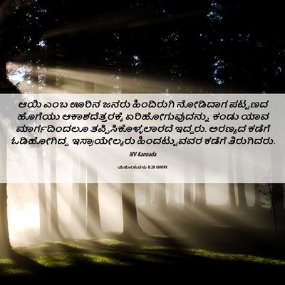 Picture 06 - ಯೆಹೋಶುವನು 8:20 KANIRV - ಆಯಿ ಎಂಬ ಊರಿನ ಜನರು - Bible Verse Picture
