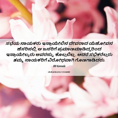 Picture 06 - ಯೆಹೋಶುವನು 9:18 KANIRV - ಸಭೆಯ ನಾಯಕರು - Bible Verse Picture