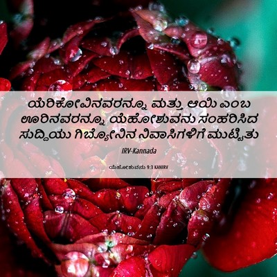 Picture 06 - ಯೆಹೋಶುವನು 9:3 KANIRV - ಯೆರಿಕೋವಿನವರನ್ನೂ - Bible Verse Picture