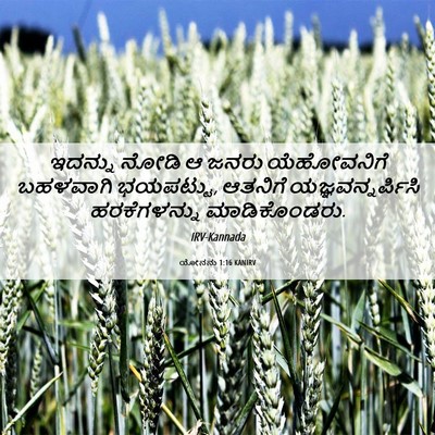 Picture 06 - ಯೋನನು 1:16 KANIRV - ಇದನ್ನು ನೋಡಿ ಆ ಜನರು - Bible Verse Picture
