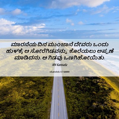 Picture 06 - ಯೋನನು 4:7 KANIRV - ಮಾರನೆಯ ದಿನ - Bible Verse Picture