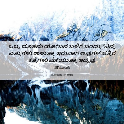 Picture 06 - ಯೋಬನು 1:14 KANIRV - ಒಬ್ಬ ದೂತನು ಯೋಬನ - Bible Verse Picture
