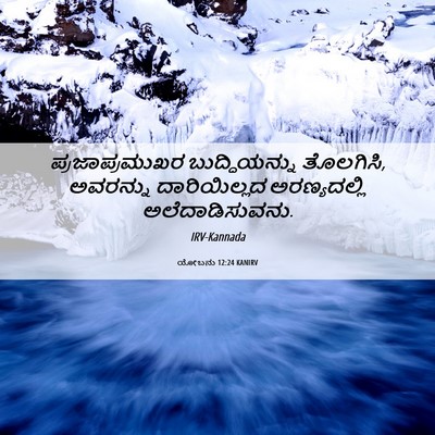 Picture 06 - ಯೋಬನು 12:24 KANIRV - ಪ್ರಜಾಪ್ರಮುಖರ - Bible Verse Picture