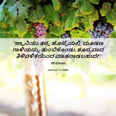 Picture 06 - ಯೋಬನು 15:2 KANIRV - “ಜ್ಞಾನಿಯು ತನ್ನ - Bible Verse Picture