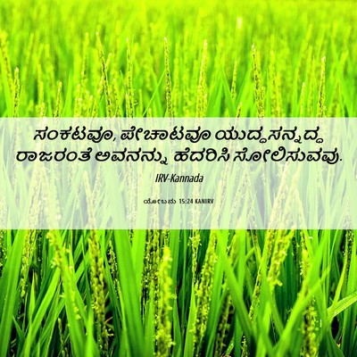 Picture 06 - ಯೋಬನು 15:24 KANIRV - ಸಂಕಟವೂ, ಪೇಚಾಟವೂ - Bible Verse Picture
