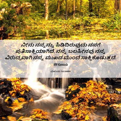 Picture 06 - ಯೋಬನು 16:8 KANIRV - ನೀನು ನನ್ನನ್ನು - Bible Verse Picture