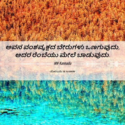 Picture 06 - ಯೋಬನು 18:16 KANIRV - ಅವನ ವಂಶವೃಕ್ಷದ - Bible Verse Picture