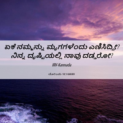Picture 06 - ಯೋಬನು 18:3 KANIRV - ಏಕೆ ನಮ್ಮನ್ನು - Bible Verse Picture