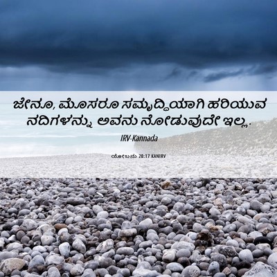 Picture 06 - ಯೋಬನು 20:17 KANIRV - ಜೇನೂ, ಮೊಸರೂ - Bible Verse Picture