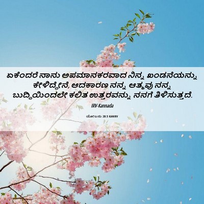 Picture 06 - ಯೋಬನು 20:3 KANIRV - ಏಕೆಂದರೆ ನಾನು - Bible Verse Picture