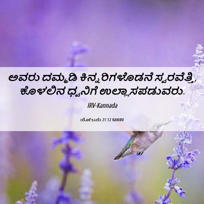 Picture 06 - ಯೋಬನು 21:12 KANIRV - ಅವರು ದಮ್ಮಡಿ - Bible Verse Picture