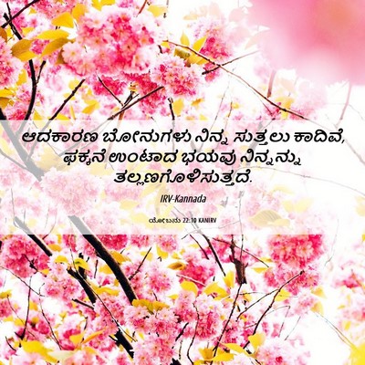 Picture 06 - ಯೋಬನು 22:10 KANIRV - ಆದಕಾರಣ ಬೋನುಗಳು - Bible Verse Picture