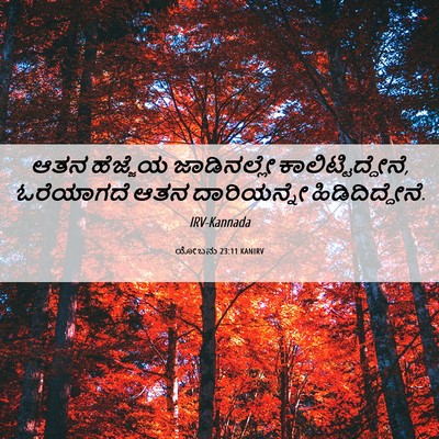 Picture 06 - ಯೋಬನು 23:11 KANIRV - ಆತನ ಹೆಜ್ಜೆಯ - Bible Verse Picture