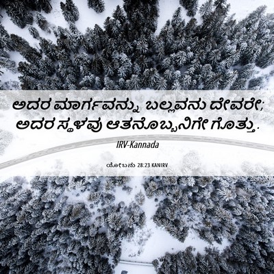 Picture 06 - ಯೋಬನು 28:23 KANIRV - ಅದರ ಮಾರ್ಗವನ್ನು - Bible Verse Picture