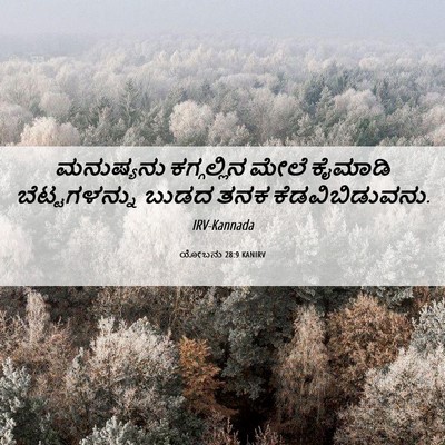 Picture 06 - ಯೋಬನು 28:9 KANIRV - ಮನುಷ್ಯನು - Bible Verse Picture
