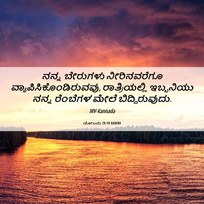 Picture 06 - ಯೋಬನು 29:19 KANIRV - ನನ್ನ ಬೇರುಗಳು - Bible Verse Picture