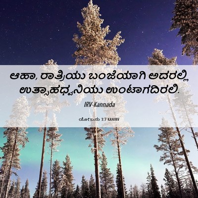 Picture 06 - ಯೋಬನು 3:7 KANIRV - ಆಹಾ, ರಾತ್ರಿಯು - Bible Verse Picture