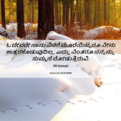 Picture 06 - ಯೋಬನು 30:20 KANIRV - ಓ ದೇವರೇ ನಾನು ನಿನಗೆ - Bible Verse Picture