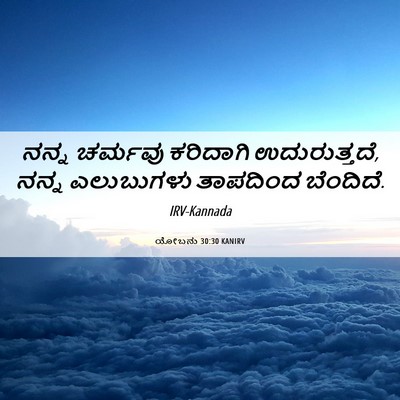 Picture 06 - ಯೋಬನು 30:30 KANIRV - ನನ್ನ ಚರ್ಮವು - Bible Verse Picture