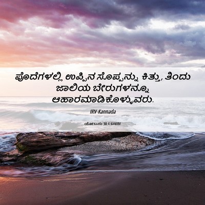 Picture 06 - ಯೋಬನು 30:4 KANIRV - ಪೊದೆಗಳಲ್ಲಿ ಉಪ್ಪಿನ - Bible Verse Picture