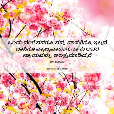 Picture 06 - ಯೋಬನು 31:13 KANIRV - ಒಂದು ವೇಳೆ ನನಗೂ, - Bible Verse Picture