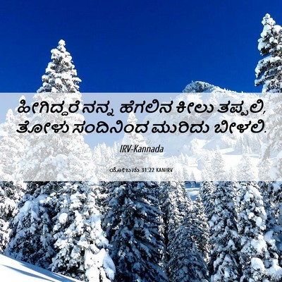 Picture 06 - ಯೋಬನು 31:22 KANIRV - ಹೀಗಿದ್ದರೆ ನನ್ನ - Bible Verse Picture
