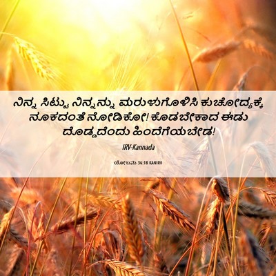 Picture 06 - ಯೋಬನು 36:18 KANIRV - ನಿನ್ನ ಸಿಟ್ಟು - Bible Verse Picture