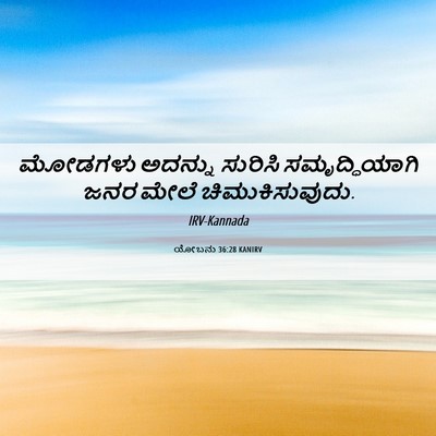 Picture 06 - ಯೋಬನು 36:28 KANIRV - ಮೋಡಗಳು ಅದನ್ನು - Bible Verse Picture