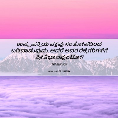 Picture 06 - ಯೋಬನು 39:13 KANIRV - ಉಷ್ಟ್ರಪಕ್ಷಿಯ - Bible Verse Picture