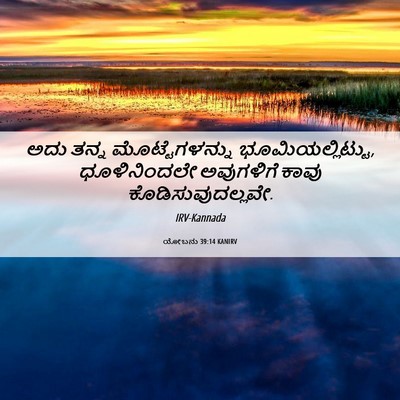 Picture 06 - ಯೋಬನು 39:14 KANIRV - ಅದು ತನ್ನ - Bible Verse Picture