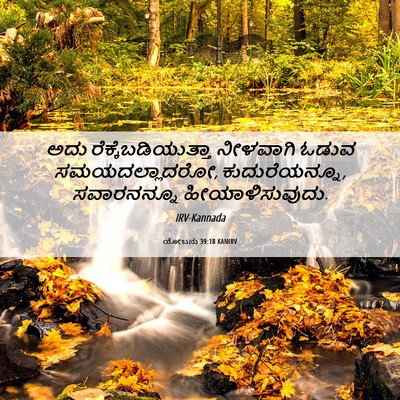 Picture 06 - ಯೋಬನು 39:18 KANIRV - ಅದು - Bible Verse Picture