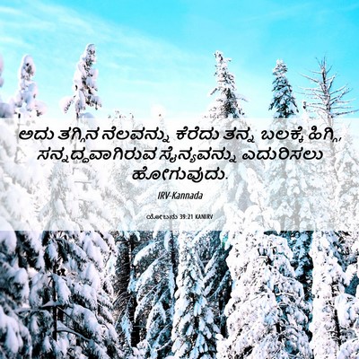 Picture 06 - ಯೋಬನು 39:21 KANIRV - ಅದು ತಗ್ಗಿನ - Bible Verse Picture