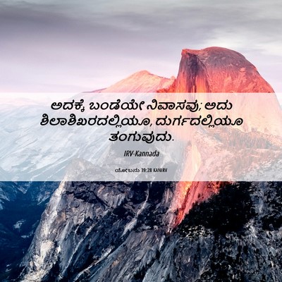 Picture 06 - ಯೋಬನು 39:28 KANIRV - ಅದಕ್ಕೆ ಬಂಡೆಯೇ - Bible Verse Picture