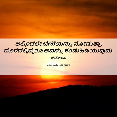 Picture 06 - ಯೋಬನು 39:29 KANIRV - ಅಲ್ಲಿಂದಲೇ - Bible Verse Picture