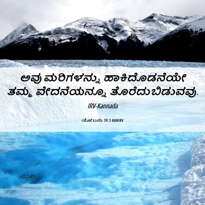 Picture 06 - ಯೋಬನು 39:3 KANIRV - ಅವು ಮರಿಗಳನ್ನು - Bible Verse Picture