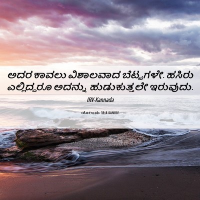 Picture 06 - ಯೋಬನು 39:8 KANIRV - ಅದರ ಕಾವಲು - Bible Verse Picture