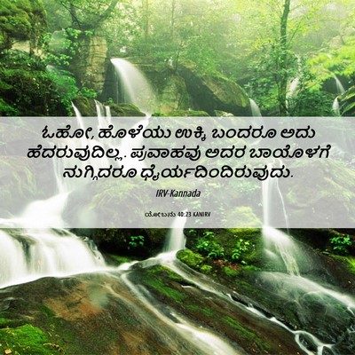 Picture 06 - ಯೋಬನು 40:23 KANIRV - ಓಹೋ, ಹೊಳೆಯು ಉಕ್ಕಿ - Bible Verse Picture
