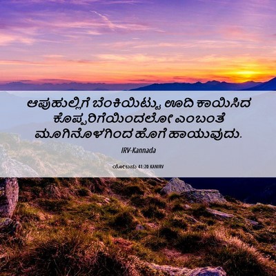 Picture 06 - ಯೋಬನು 41:20 KANIRV - ಆಪುಹುಲ್ಲಿಗೆ - Bible Verse Picture