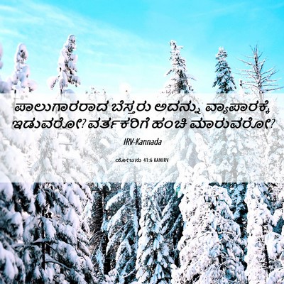 Picture 06 - ಯೋಬನು 41:6 KANIRV - ಪಾಲುಗಾರರಾದ - Bible Verse Picture