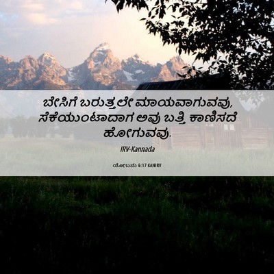 Picture 06 - ಯೋಬನು 6:17 KANIRV - ಬೇಸಿಗೆ ಬರುತ್ತಲೇ - Bible Verse Picture