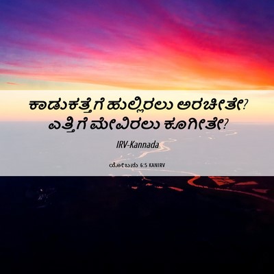 Picture 06 - ಯೋಬನು 6:5 KANIRV - ಕಾಡುಕತ್ತೆಗೆ - Bible Verse Picture