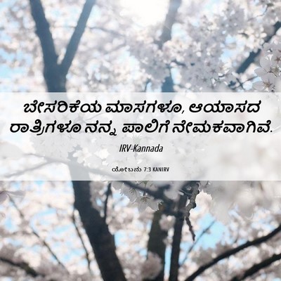 Picture 06 - ಯೋಬನು 7:3 KANIRV - ಬೇಸರಿಕೆಯ ಮಾಸಗಳೂ, - Bible Verse Picture